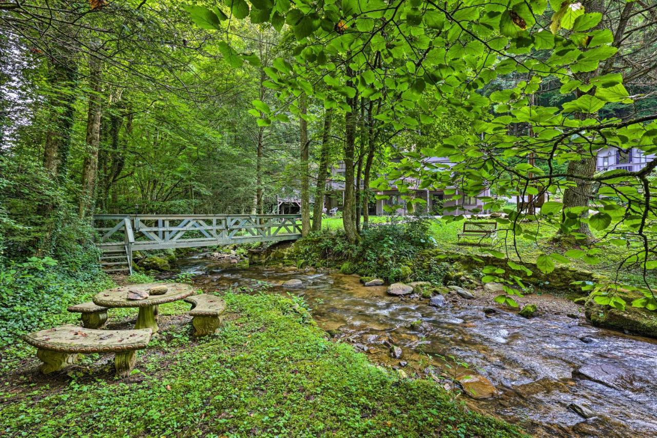 Roan Mountain Creekside Cabin Hike And Fish! Eksteriør bilde