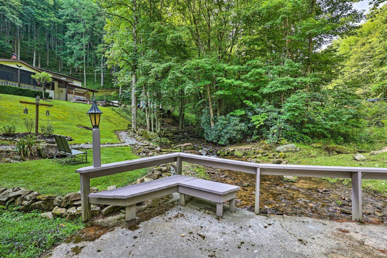 Roan Mountain Creekside Cabin Hike And Fish! Eksteriør bilde