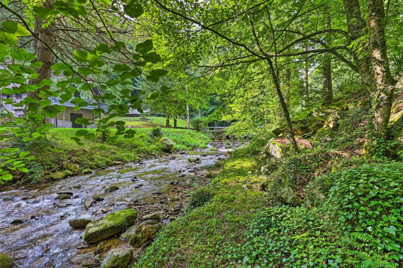 Roan Mountain Creekside Cabin Hike And Fish! Eksteriør bilde