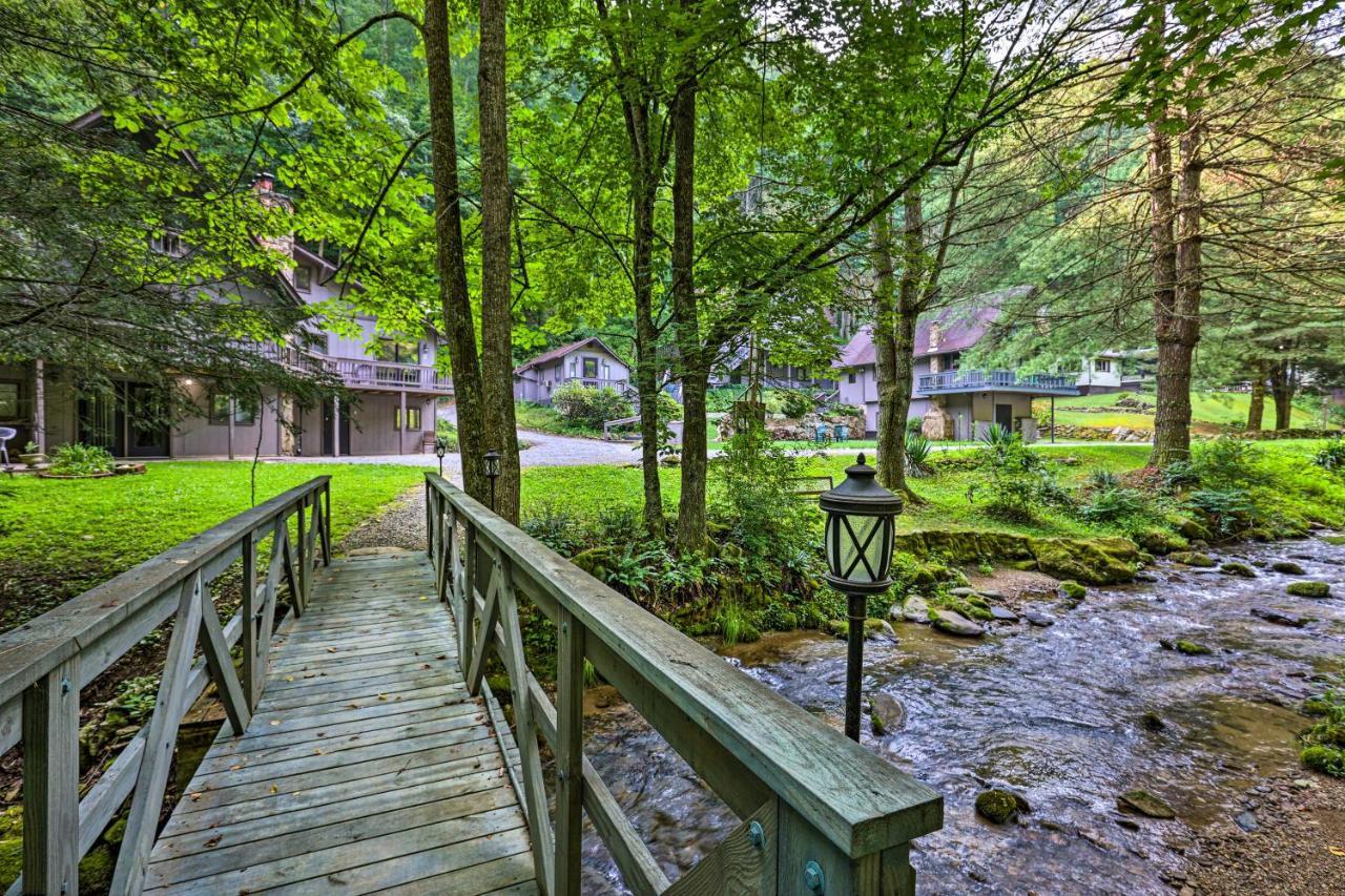 Roan Mountain Creekside Cabin Hike And Fish! Eksteriør bilde
