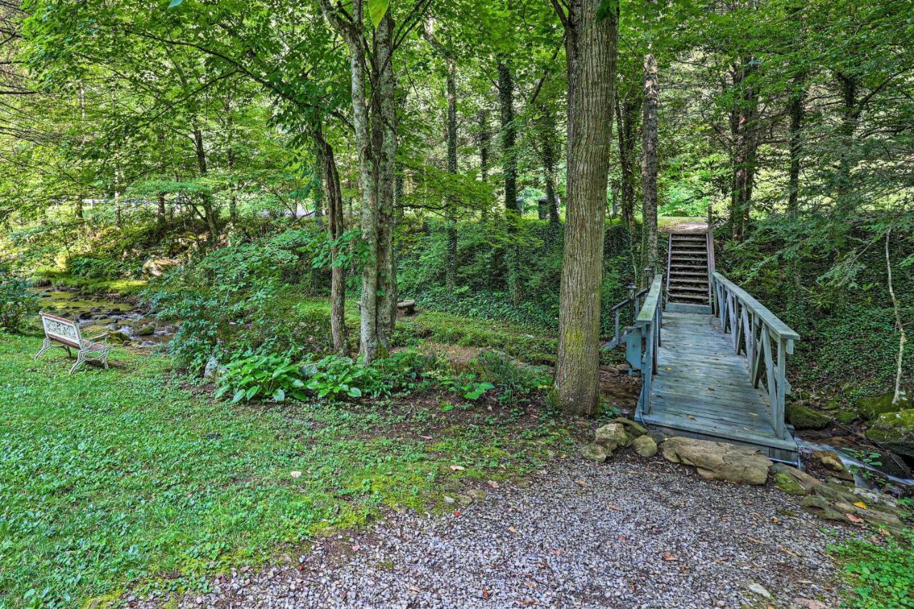 Roan Mountain Creekside Cabin Hike And Fish! Eksteriør bilde